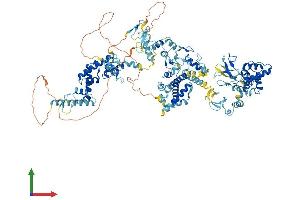 AlphaFold protein structure predicition of Human Recombinant RNF31 Protein, UniprotID Q96EP0