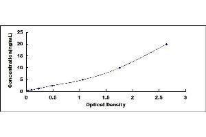 Typical standard curve (Cathepsin D ELISA Kit)