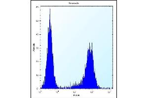 P3K15 Antibody (N-term) (ABIN656257 and ABIN2845573) flow cytometric analysis of Neuro-2a cells (right histogram) compared to a negative control cell (left histogram). (MAP3K15 antibody  (N-Term))