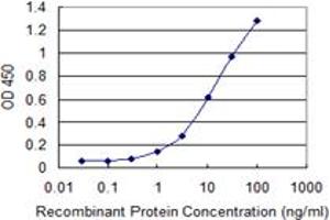 Detection limit for recombinant GST tagged SNAP29 is 0. (SNAP29 antibody  (AA 1-258))