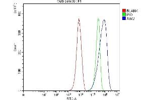 Flow Cytometry analysis of RAW264. (AIM2 antibody  (AA 136-354))