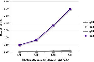 ELISA plate was coated with purified human IgG1, IgG2, IgG3, and IgG4. (Mouse anti-Human IgG4 (Fc Region) Antibody (Alkaline Phosphatase (AP)))