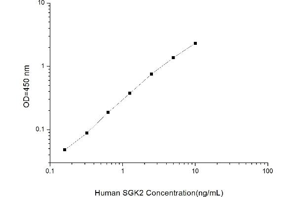SGK2 ELISA Kit