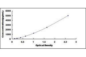 Myogenic Differentiation 1 (MYOD1) ELISA Kit