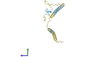 AlphaFold protein structure predicition of Human Recombinant SREK1IP1 Protein, UniprotID Q8N9Q2 (SFRS12IP1 Protein (AA 1-155) (His tag))