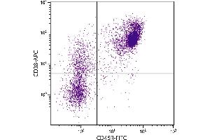 BALB/c mouse splenocytes were stained with Rat Anti-Mouse CD38-APC. (CD38 antibody  (APC))