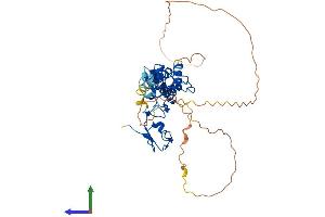 AlphaFold protein structure predicition of Human Recombinant RNF34 Protein, UniprotID Q969K3 (RNF34 Protein (AA 1-372) (His tag))