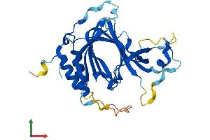 Protein Structure (PS) image for 2-Aminoethanethiol (Cysteamine) Dioxygenase (ADO) (AA 1-270) protein (His tag) (ABIN7552066)