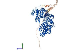 Protein Structure (PS) image for Glutamate Decarboxylase 1 (Brain, 67kDa) (GAD1) (AA 1-594) protein (His tag) (ABIN7547011)
