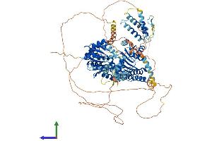 Protein Structure (PS) image for RecQ Protein-Like 5 (RECQL5) (AA 1-991) protein (His tag) (ABIN7555199)