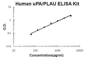 Human uPA/PLAU PicoKine ELISA Kit standard curve (PLAU ELISA Kit)