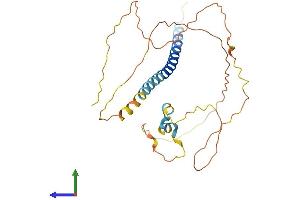 AlphaFold protein structure predicition of Human Recombinant PRR7 Protein, UniprotID Q8TB68 (PRR7 Protein (AA 1-274) (His tag))
