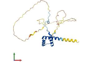 AlphaFold protein structure predicition of Human Recombinant HOXB6 Protein, UniprotID P17509 (HOXB6 Protein (AA 1-224) (His tag))