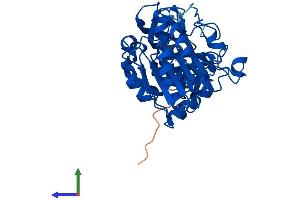 AlphaFold protein structure predicition of Human Recombinant ADH7 Protein, UniprotID P40394 (ADH7 Protein (AA 1-386) (His tag))