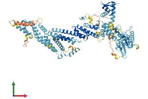 AlphaFold protein structure predicition of Mouse Recombinant Anapc2 Protein, UniprotID Q8BZQ7