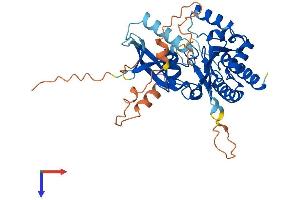 AlphaFold protein structure predicition of Mouse Recombinant Ip6k3 Protein, UniprotID Q8BWD2 (IP6K3 Protein (AA 1-396) (His tag))