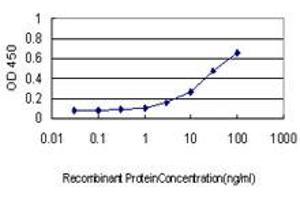 Detection limit for recombinant GST tagged CAMKK1 is approximately 1ng/ml as a capture antibody. (CAMKK1 antibody  (AA 1-520))