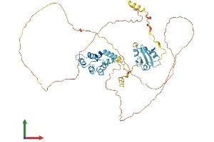AlphaFold protein structure predicition of Mouse Recombinant Sp100 Protein, UniprotID O35892 (SP100 Protein (AA 1-482) (His tag))