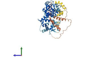 AlphaFold protein structure predicition of Mouse Recombinant Micu3 Protein, UniprotID Q9CTY5 (EFHA2 Protein (AA 1-523) (His tag))