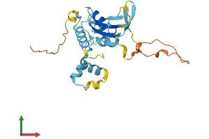 AlphaFold protein structure predicition of Human Recombinant SOCS3 Protein, UniprotID O14543 (SOCS3 Protein (AA 1-225) (His tag))