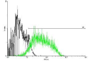 FACS analysis of negative control 293 cells (Black) and CD97 expressing 293 cells (Green) using CD97 purified MaxPab mouse polyclonal antibody. (CD97 antibody  (AA 1-742))
