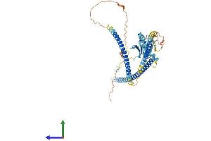Protein Structure (PS) image for Ras Association (RalGDS/AF-6) Domain Family (N-terminal) Member 9 (RASSF9) (AA 1-435) protein (His tag) (ABIN7551211)