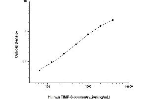 Typical standard curve (TIMP3 ELISA Kit)