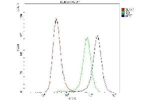 Flow Cytometry analysis of A549 cells using anti-APRT antibody (ABIN4886471).