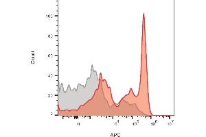 Flow cytometry of lymphocyte gated PBMCs stained with CD4 mouse monoclonal antibody (CD4/1604) (red) or isotype control (gray) followed by goat anti-mouse CF640R. (CD4 antibody  (AA 245-392))