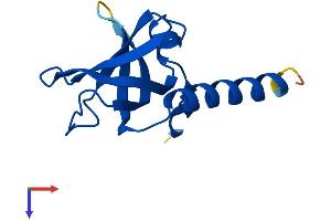 AlphaFold protein structure predicition of Human Recombinant TEN1 Protein, UniprotID Q86WV5 (TEN1 Protein (AA 1-123) (His tag))