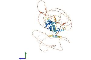 AlphaFold protein structure predicition of Human Recombinant ZBTB5 Protein, UniprotID O15062 (ZBTB5 Protein (AA 1-677) (His tag))