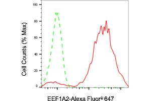 Flow cytometric analysis of EEF1A2 expression in HaCaT cells using EEF1A2 antibody (ABIN7798499), 1:2,000). (Recombinant EEF1A2 antibody)