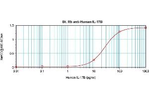 Direct ELISA using Biotin conjugated anti-Interleukin-17B / IL17B antibody (IL17B antibody  (Biotin))