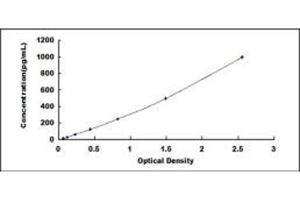 BMP10 ELISA Kit