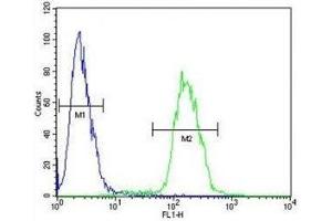 Anti-Myc antibody flow cytometric analysis of 293 cells (right histogram) compared to a negative control cell (left histogram). (c-MYC antibody  (AA 40-69))
