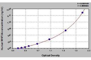 Typical standard curve (WNT3A ELISA Kit)