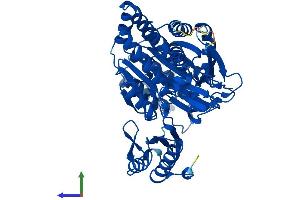 Protein Structure (PS) image for Phosphoglucomutase 3 (PGM3) (AA 1-542) protein (His tag) (ABIN7552011)