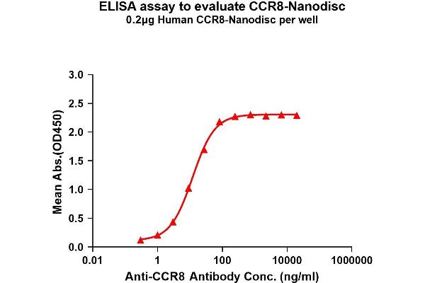 CCR8 Protein