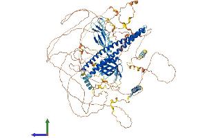 AlphaFold protein structure predicition of Mouse Recombinant Plekha7 Protein, UniprotID Q3UIL6 (PLEKHA7 Protein (AA 1-1118) (His tag))