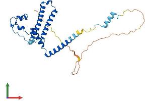 AlphaFold protein structure predicition of Human Recombinant MED8 Protein, UniprotID Q96G25 (MED8 Protein (AA 1-268) (His tag))