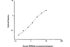 Typical standard curve (NRF2 ELISA Kit)