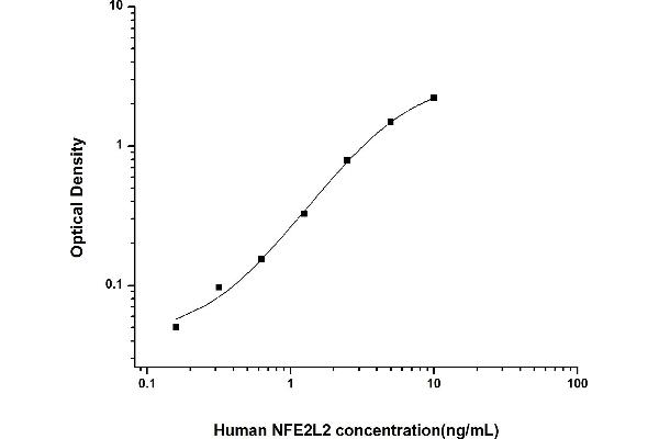 NRF2 ELISA Kit