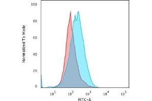 Flow Cytometric Analysis of paraformaldehyde-fixed Raji cells using CD45 Mouse Recombinant Monoclonal Antibody (rPTPRC/1460) followed by Goat anti- Mouse- IgG-CF488 (Blue); Isotype Control (Red). (Recombinant CD45 antibody)