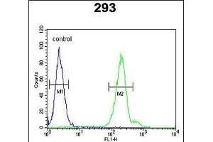 CRELD2 Antibody (C-term) (ABIN653131 and ABIN2842709) flow cytometric analysis of 293 cells (right histogram) compared to a negative control cell (left histogram).