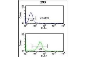 NU Antibody (N-term) (ABIN653061 and ABIN2842662) flow cytometry analysis of 293 cells (bottom histogram) compared to a negative control cell (top histogram). (NUP153 antibody  (N-Term))