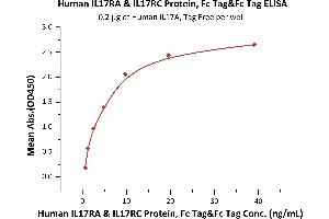 Immobilized Human IL17A, Tag Free (ABIN2870824,ABIN2870825,ABIN6810014) at 2 μg/mL (100 μL/well) can bind Human IL17RA & IL17RC Protein, Fc Tag&Fc Tag (ABIN6973108) with a linear range of 0.