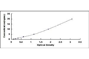 Typical standard curve (FABP1 ELISA Kit)