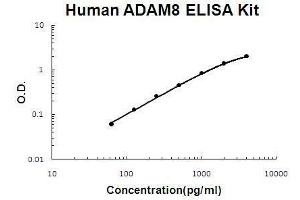 Human ADAM8 PicoKine ELISA Kit standard curve (ADAM8 ELISA Kit)