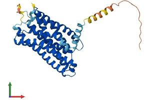 Protein Structure (PS) image for Free Fatty Acid Receptor 2 (FFAR2) (AA 1-330) protein (His tag) (ABIN7564732)