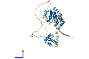 AlphaFold protein structure predicition of Human Recombinant CDC6 Protein, UniprotID Q99741 (CDC6 Protein (AA 1-560) (His tag))